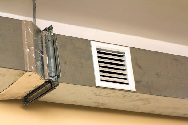 Air Duct Mold Removal in Baxley, GA